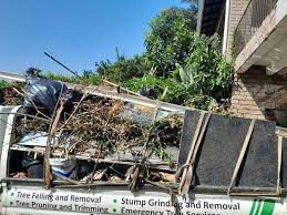 Best Foreclosure Cleanout  in Stone Mountain, GA